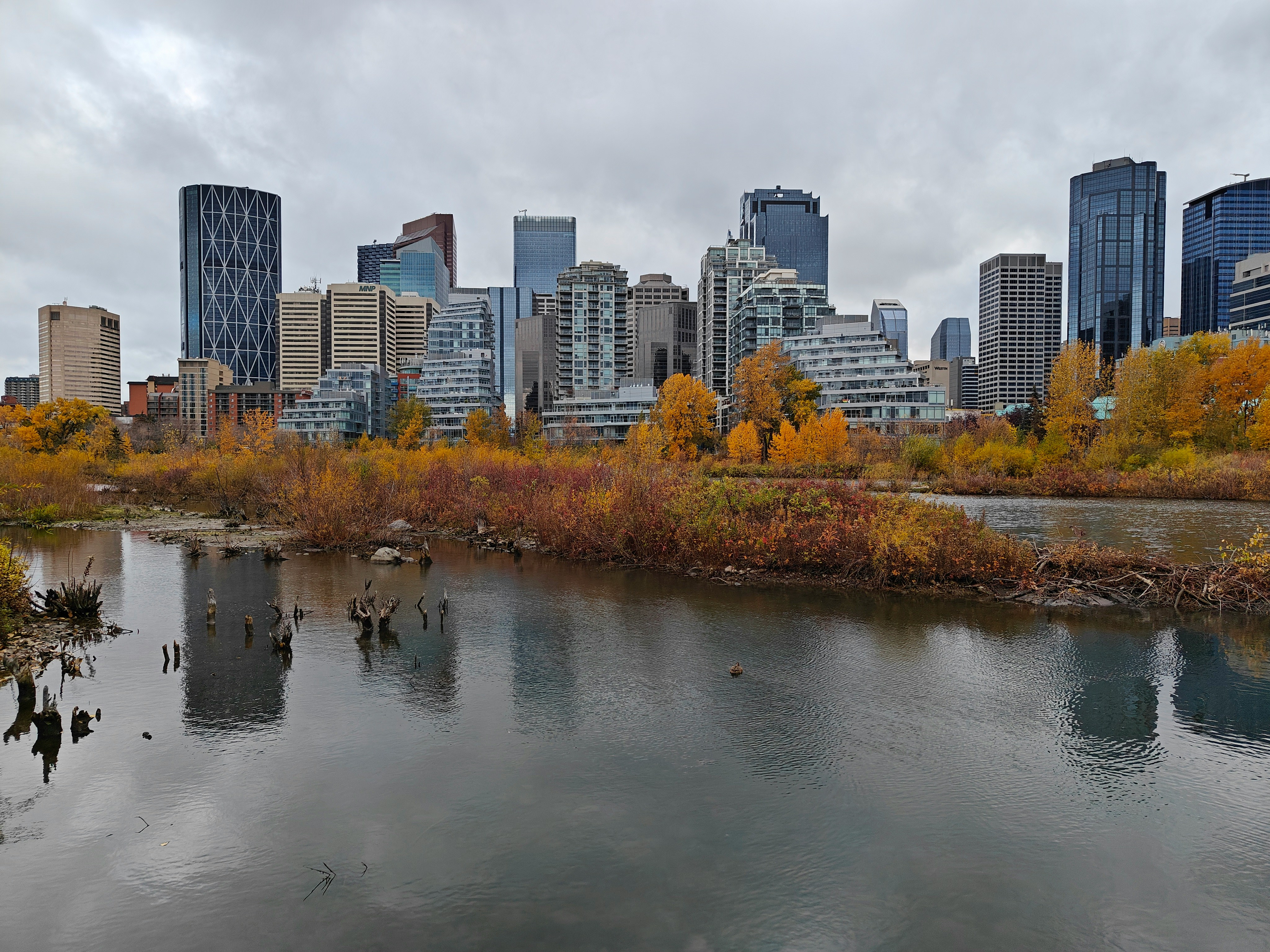 Professional e-commerce development services for Calgary businesses