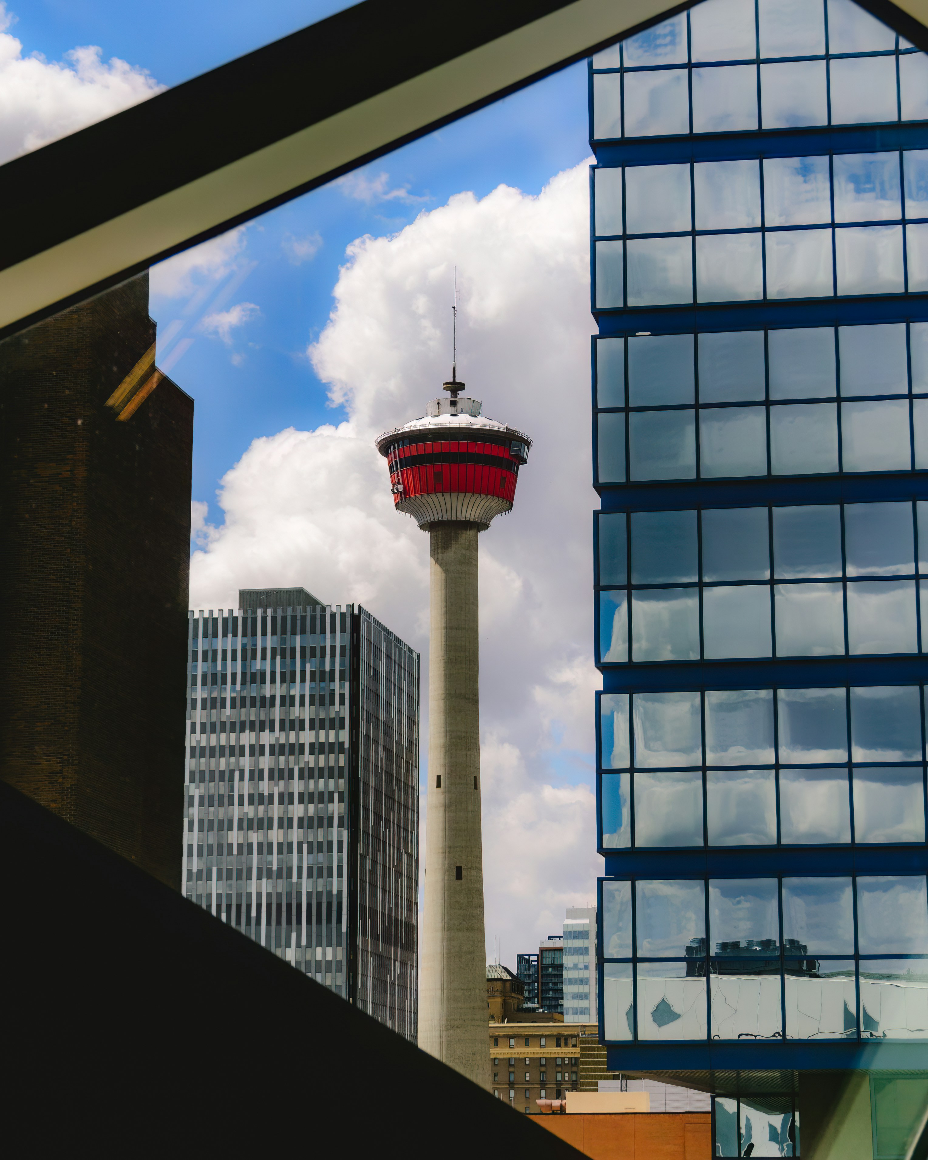 Professional web design and development showcase for Calgary businesses